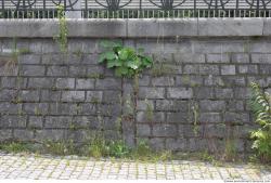 Photo Texture of Wall Stones